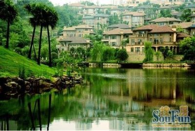 从照母山到棕榈泉240余亩生态园 棕榈泉如何定义重庆最佳生态国际住区